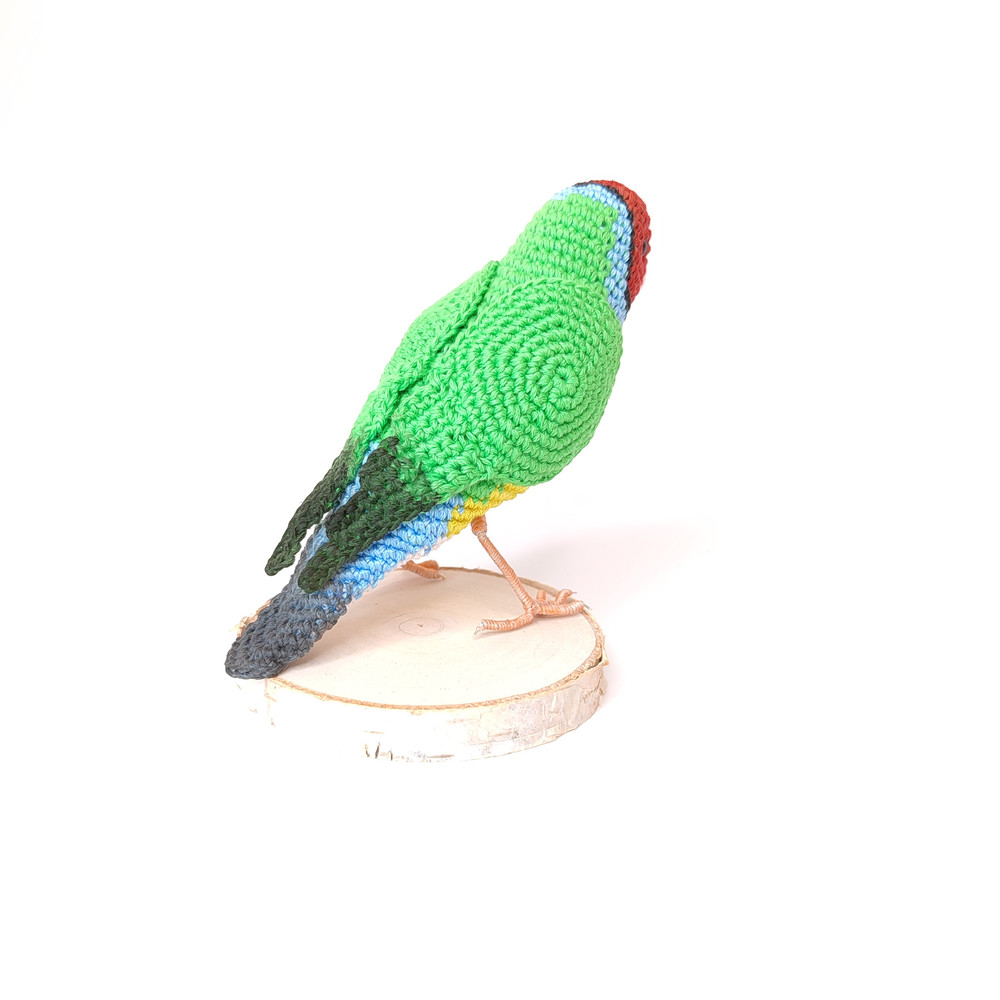 Gouldian-Finches-interior-toy-bird3.jpeg