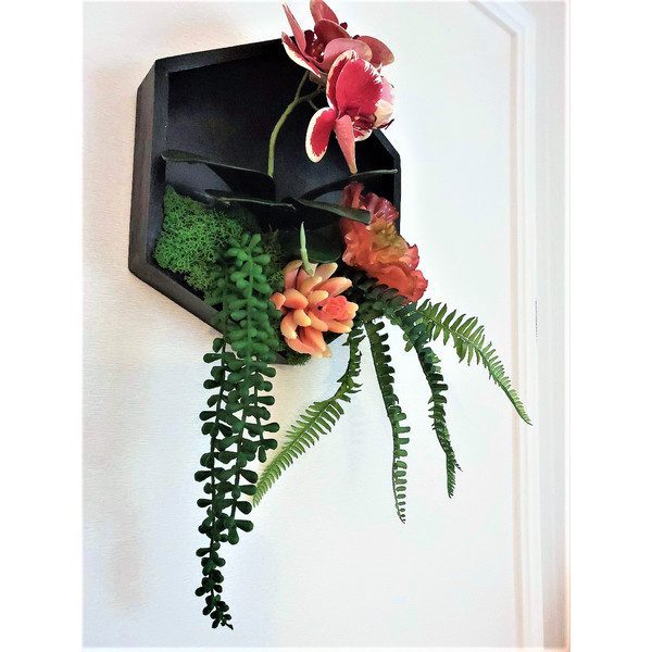 Framed-orchid-succulents-wall-decor-4.jpg
