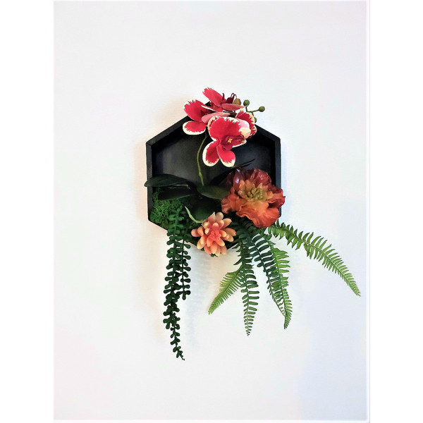Framed-orchid-succulents-wall-decor-1.jpg