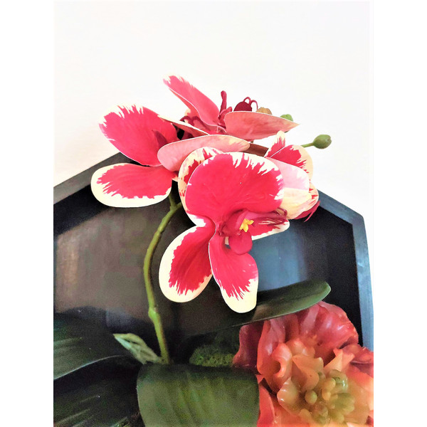 Framed-orchid-succulents-wall-decor-9.jpg