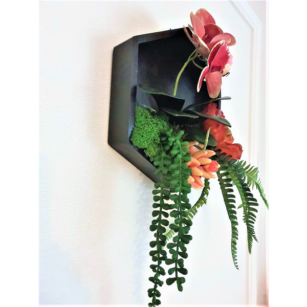 Framed-orchid-succulents-wall-decor-10.jpg