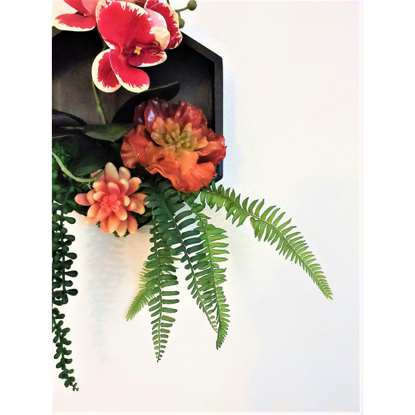 Framed-orchid-succulents-wall-decor-11.jpg