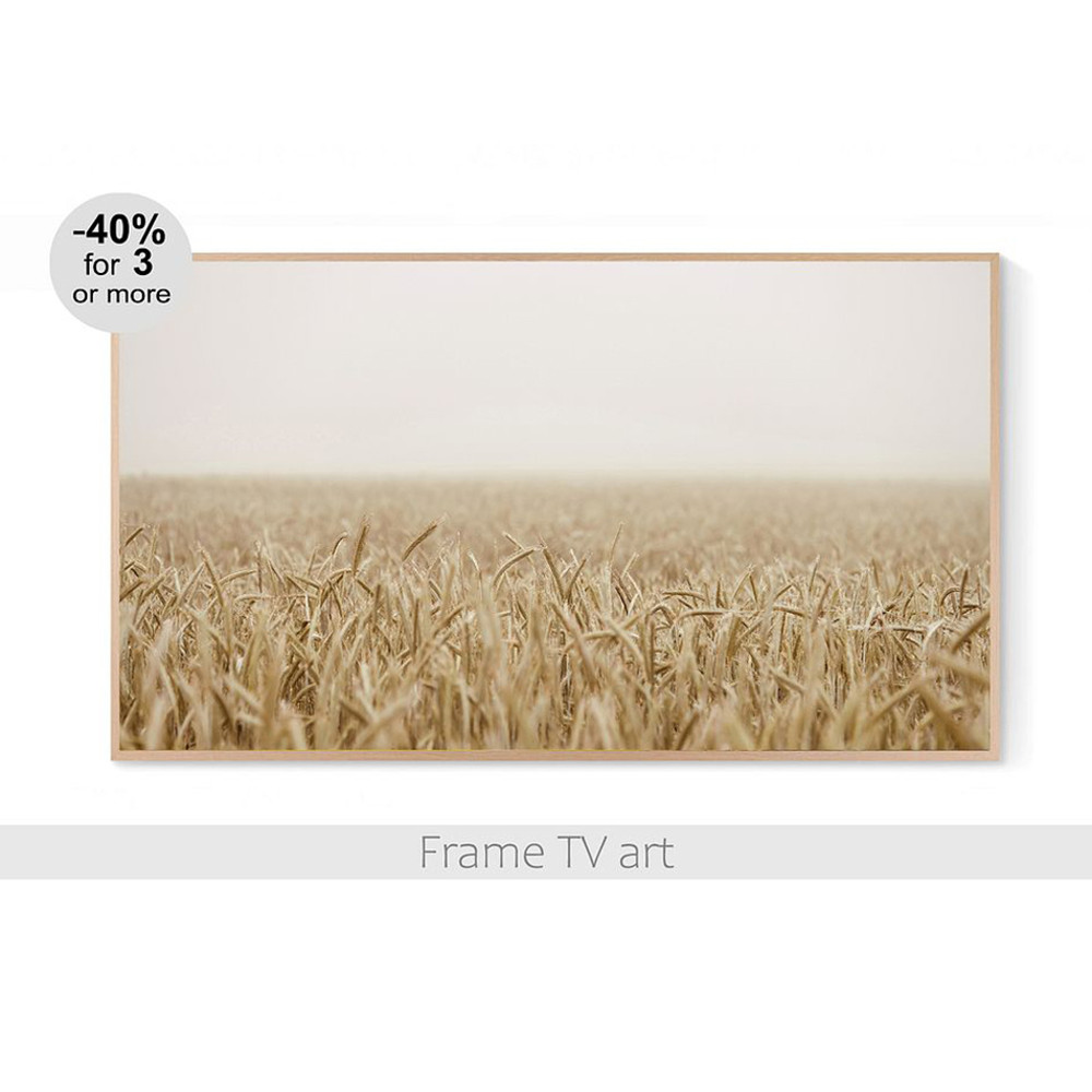 PeachCatArt530-01-n.jpg