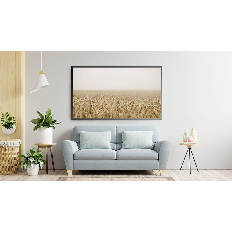 F3-PeachCatArt530.jpg