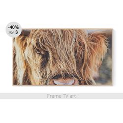 Frame TV Art Digital Download 4K, Samsung Frame TV art Highland Cow, Frame TV art farmhouse, Frame TV art nature | 370