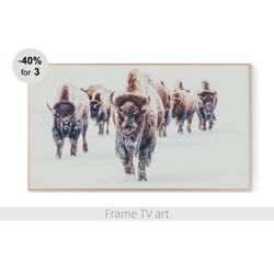 Frame TV art winter, Frame TV art bison herd, Frame TV art farmhouse buffalo, Samsung Frame TV Art Download 4K | 371