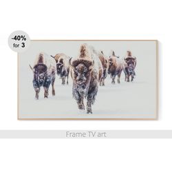 frame tv art winter, frame tv art bison herd, frame tv art farmhouse buffalo, samsung frame tv art download 4k | 371