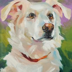 Border Collie Dog Painting Original Oil Art
