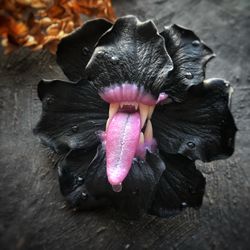 Black flower with teeth brooch jewelry/gothic gifts/black flower pin/rose jewelry