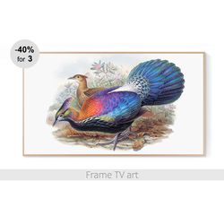samsung frame tv art digital download 4k, samsung frame tv art vintage painting, frame tv art painting birds | 391
