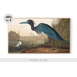 Frame TV Art Digital Download 4K, Samsung Frame TV Art Vintage painting birds, Frame TV art classic painting bird | 390