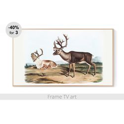 Frame TV Art Download 4K, Samsung Frame TV Art Vintage Deer, Frame TV art painting nature, Frame TV art farmhouse | 374
