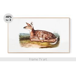 Samsung Frame TV Art Download 4K, Samsung Frame TV Art Vintage painting, Frame TV art deer, Frame TV art amimals | 373
