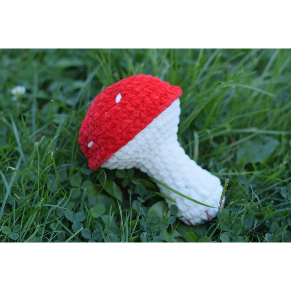 Fly agaric toadstool