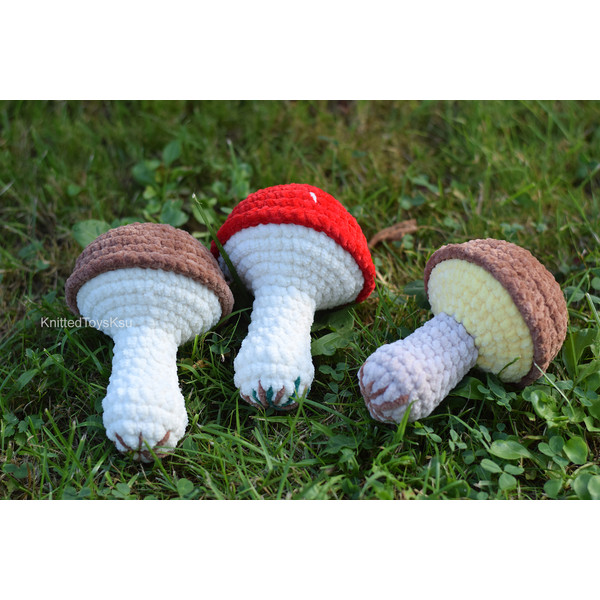 mushroom lovers gift