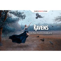 25 Ravens Photo Overlays
