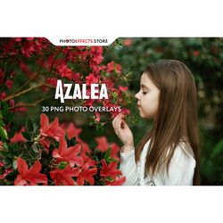 30 azalea photo overlays