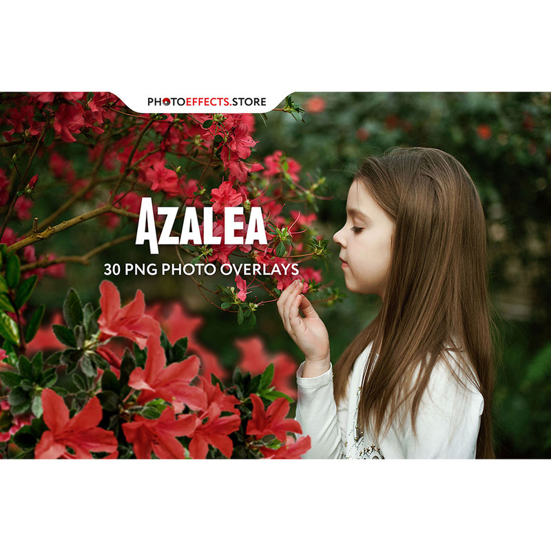 01-summer overlays.jpg