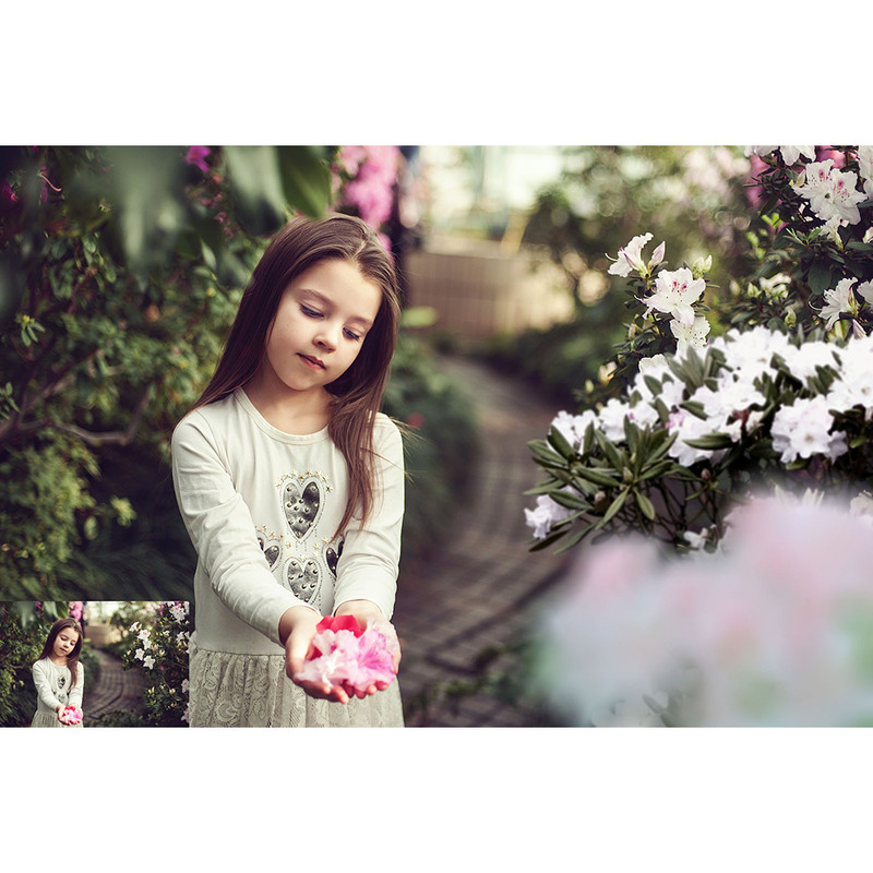 02-photoshop overlay.jpg