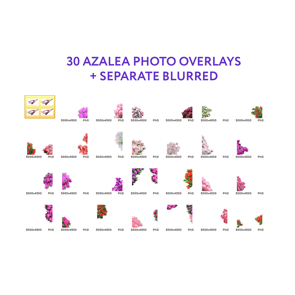 09-png overlays.jpg