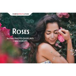 36 Rose Photo Overlays