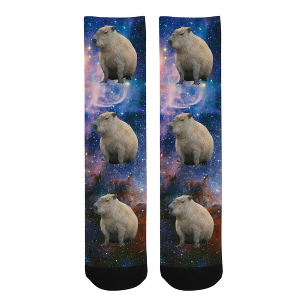 Capybara Socks.jpg