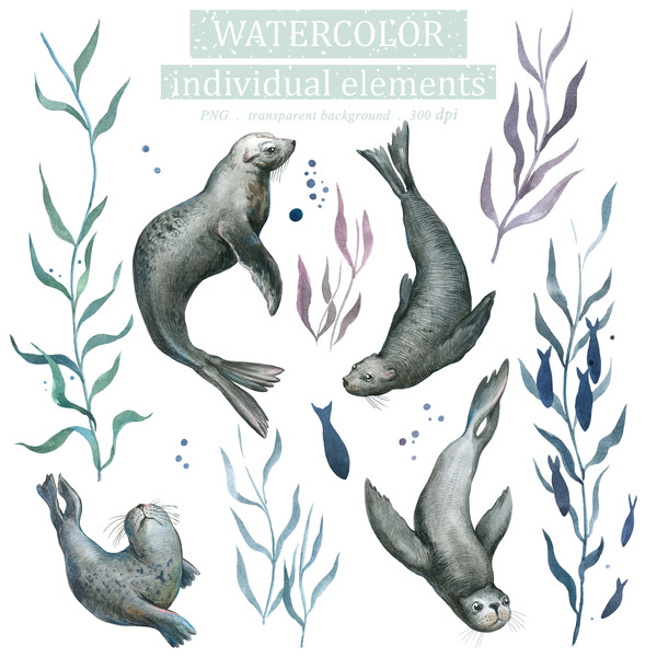 Watercolor Illustration set Of wild animals seals Clipart PNG and patterns 1_8mb.jpg