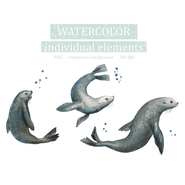 Watercolor Illustration set Of wild animals seals Clipart PNG and patterns 2_8mb.jpg