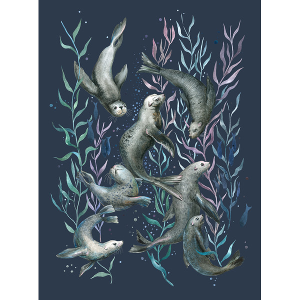 Watercolor print Of wild animals seals 2_8mb.jpg