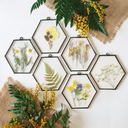 Pressed flower stained glass, Pressed flower wall art, pressed flowers framed set of 6 hexagons frames gift for her