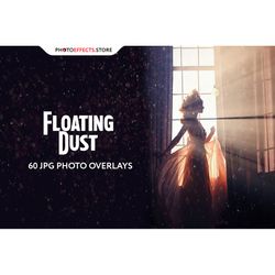 60 Floating Dust Photo Overlays