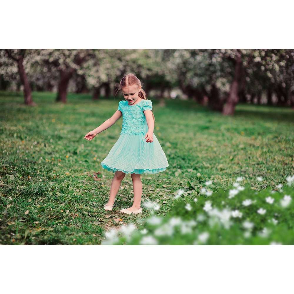 07-plants overlays.jpg