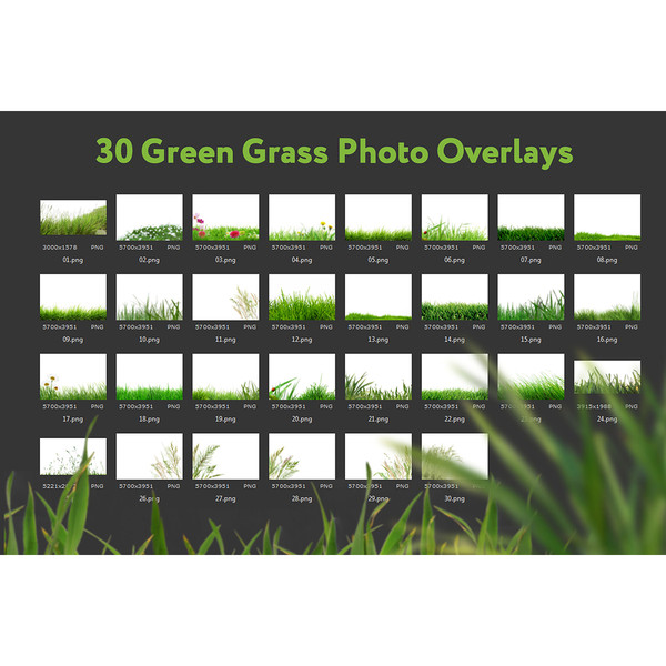 09-grass background.jpg