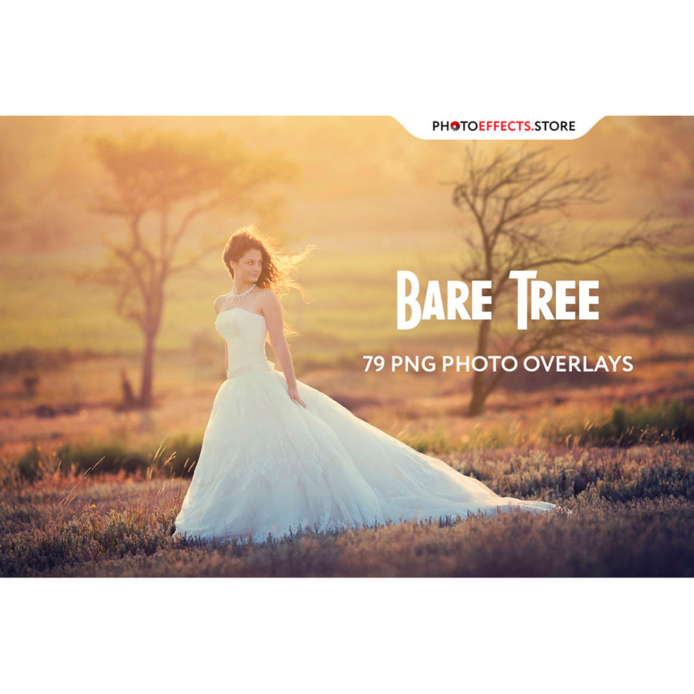 00. Bare Tree .jpg