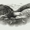 Без названия (4).png