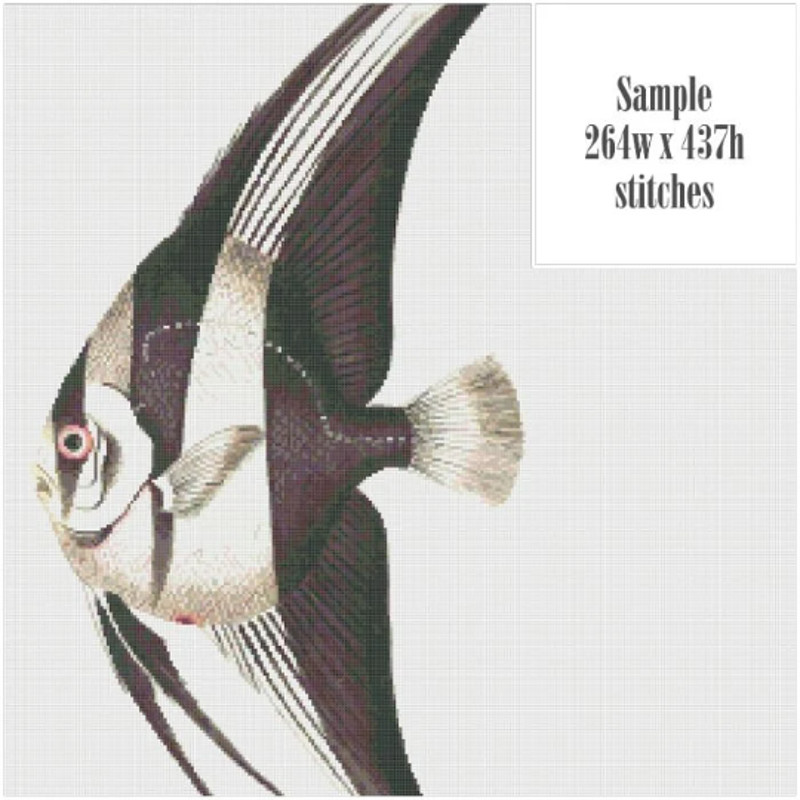 Без названия (6).png