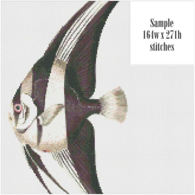 Без названия (9).png