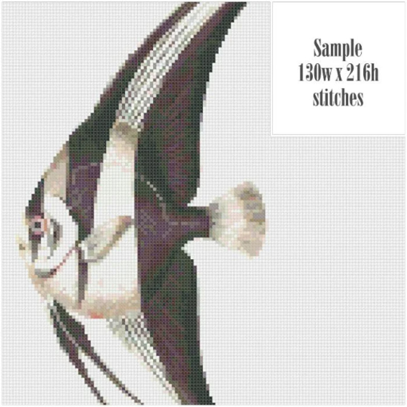 Без названия (10).png