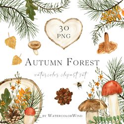 Fall forest mushrooms watercolor clipart, digital files for download