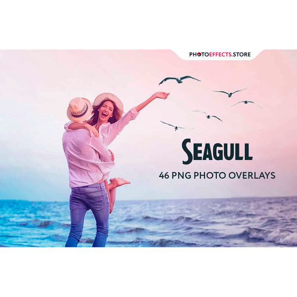 043. Seagull .jpg