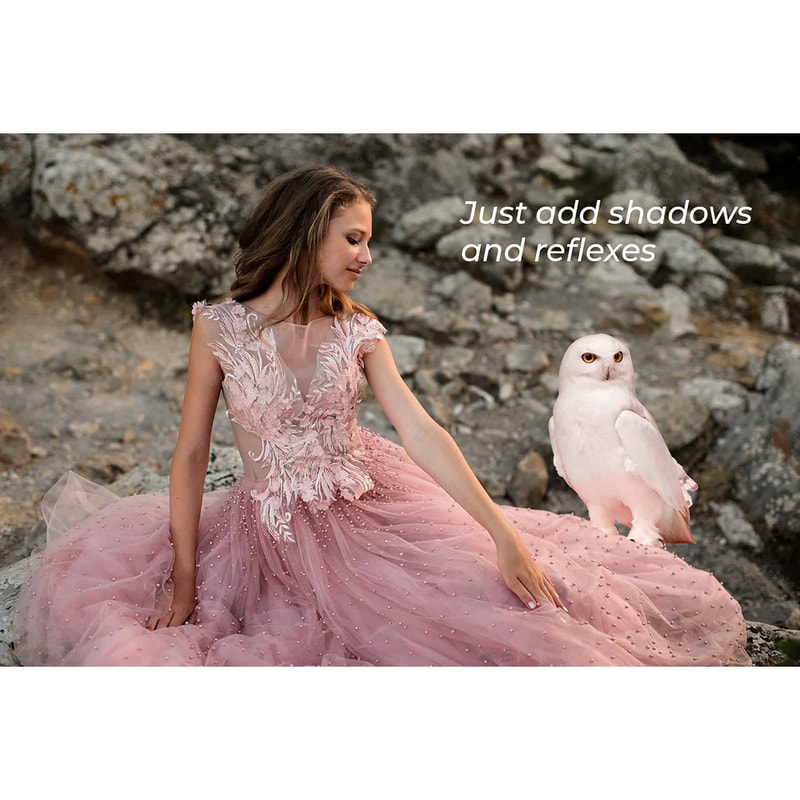 03. Owl Photo Overlays.jpg