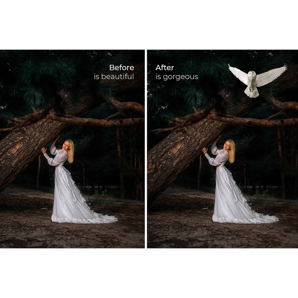 04. Owl Photo Overlays.jpg