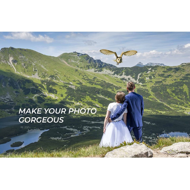 05. Owl Photo Overlays.jpg