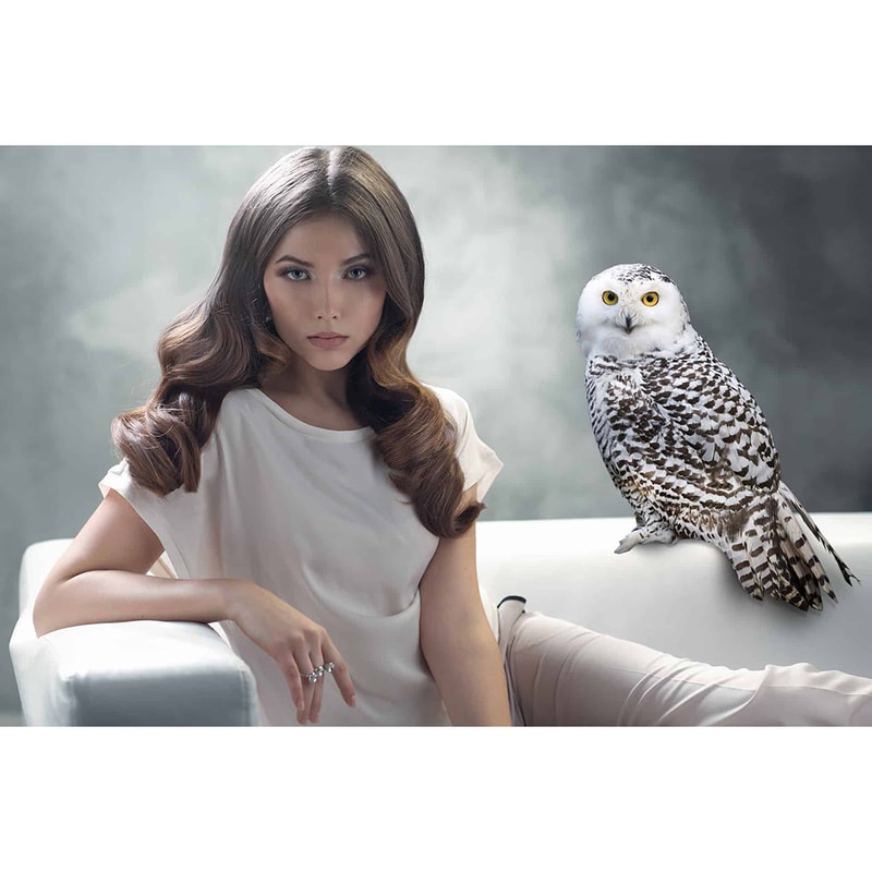 06. Owl Photo Overlays.jpg