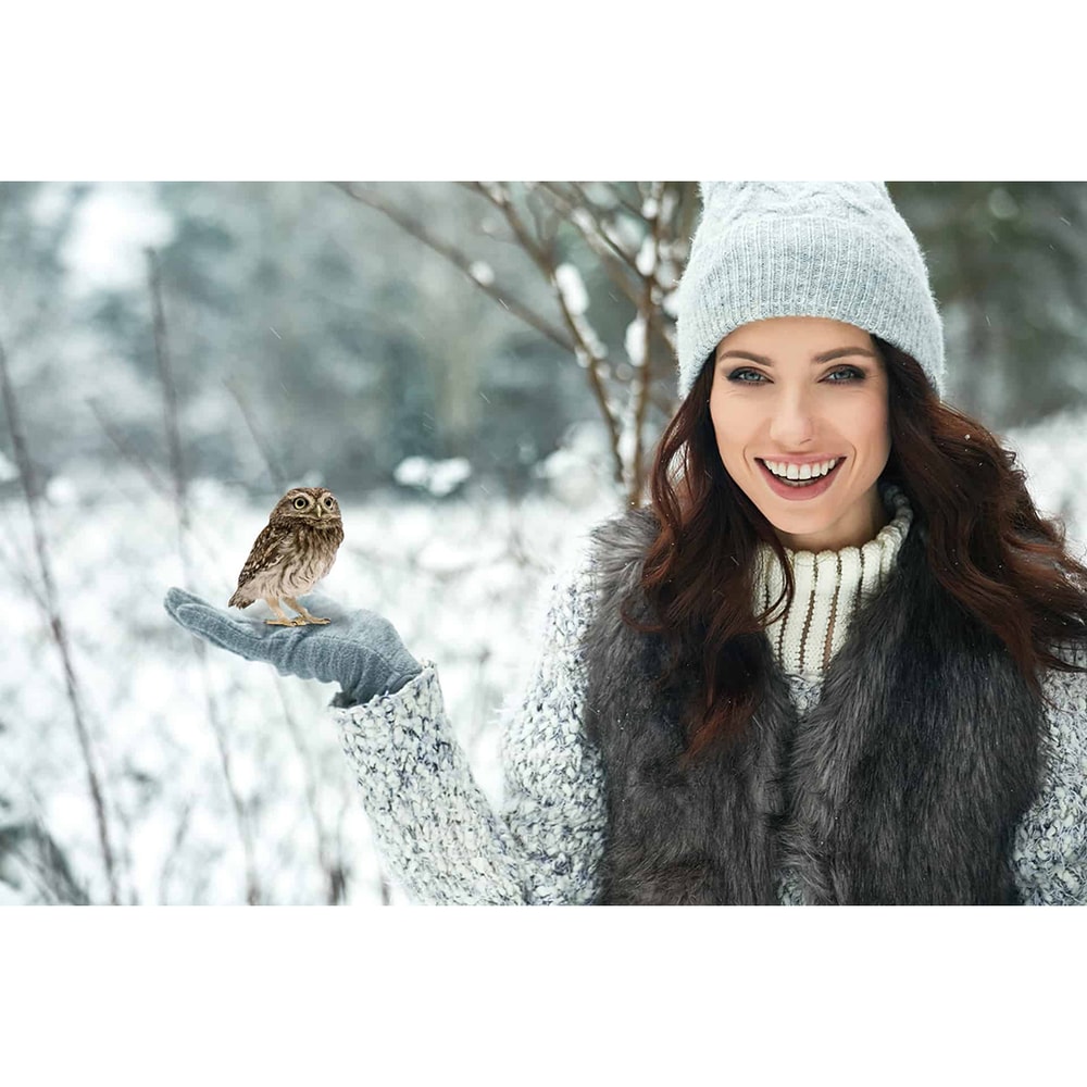 08. Owl Photo Overlays.jpg