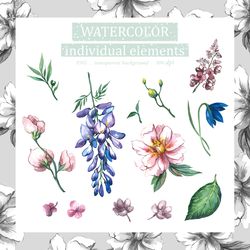 Watercolor Illustration set Of Peony and Wisteria, Floral Clipart PNG and patterns