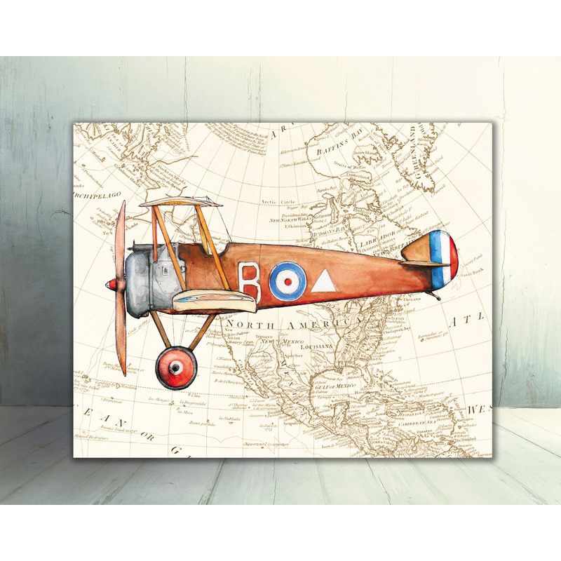 vintage-airplane-print.jpg
