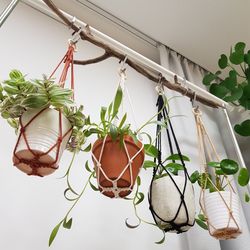 Mini Modern Macrame Plant Hanger Without Tassel on Bottom, Small Boho No Tail Planter, Succulent and 'Air Plant Holder