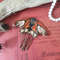 IMG_20210724_155644~2.jpg