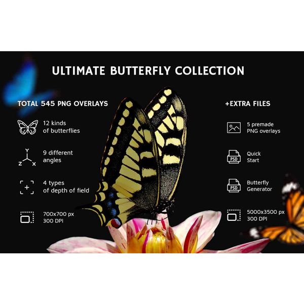 02-butterflies overlays.jpg